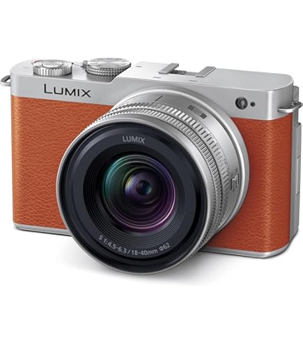 Amazon.com : Panasonic LUMIX S9 Mirrorless Full Frame Compact